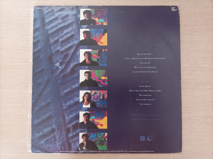 Lp Vinil Chicago 19
