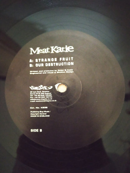 Lp Vinil Meat Katie Everyone Is Gay