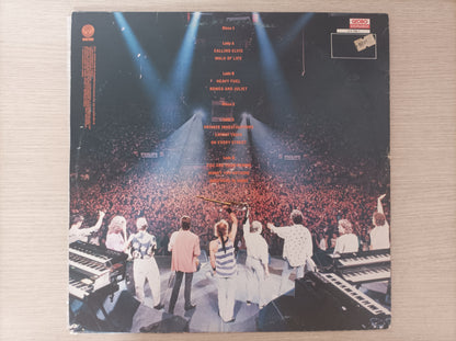 Lp Vinil Dire Straits On the night Duplo