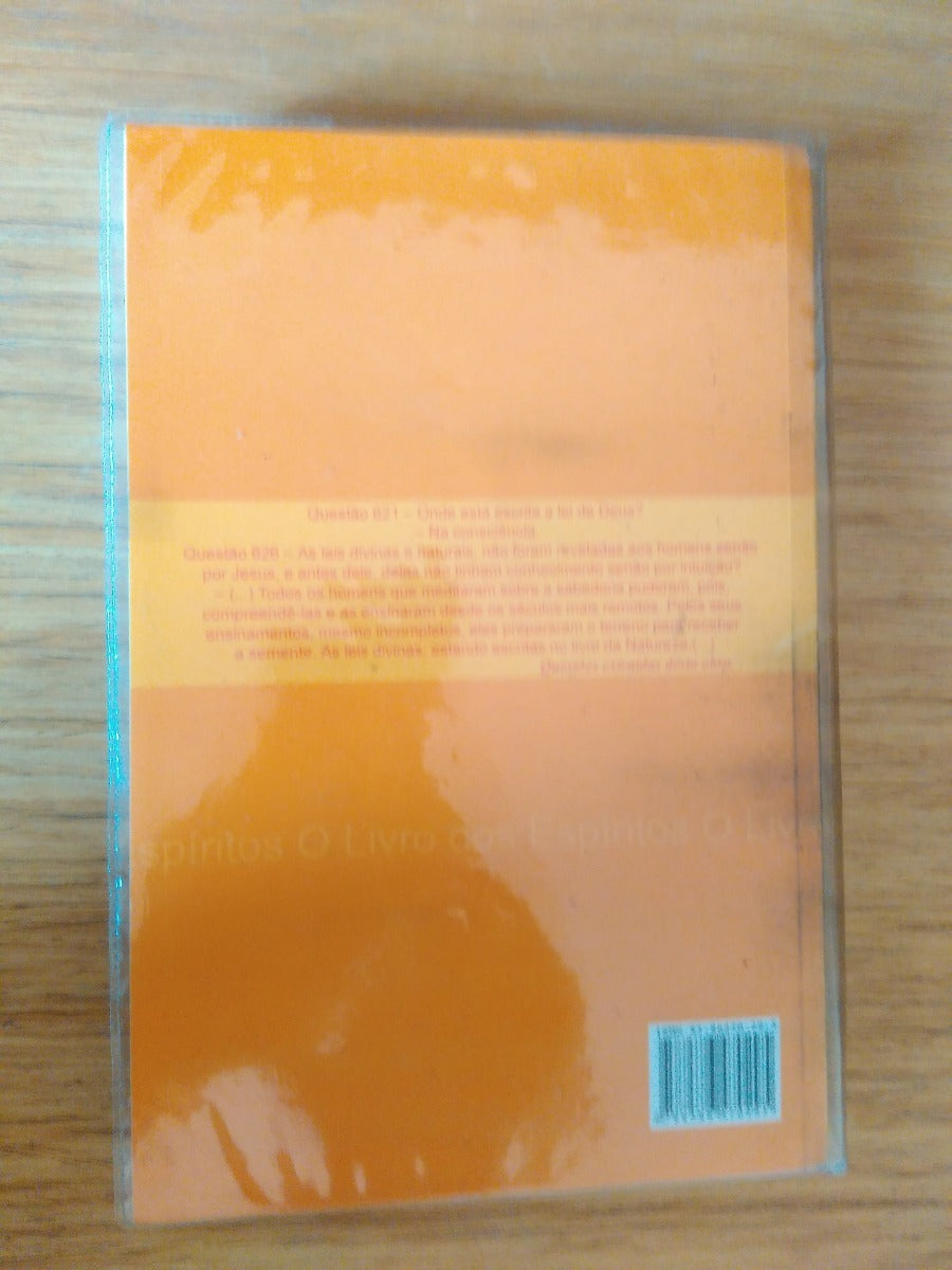 Livro O Livro Dos Espiritos