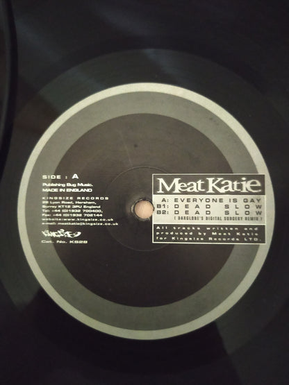 Lp Vinil Meat Katie Everyone Is Gay