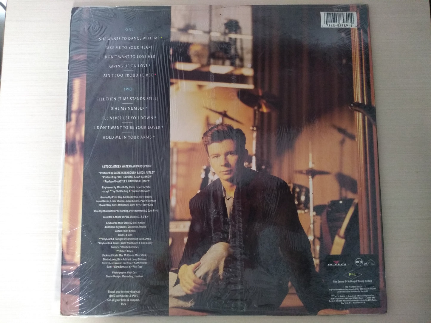 Lp Vinil Rick Astley Hold Me In Your Arms Encarte Importado