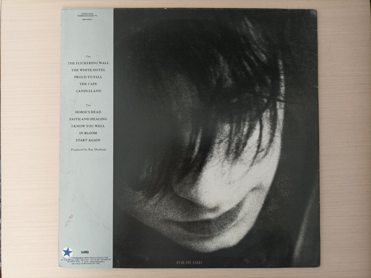 Lp Vinil Ian McCulloch Candleland