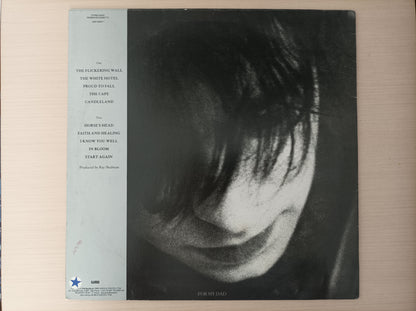 Lp Vinil Ian McCulloch Candleland