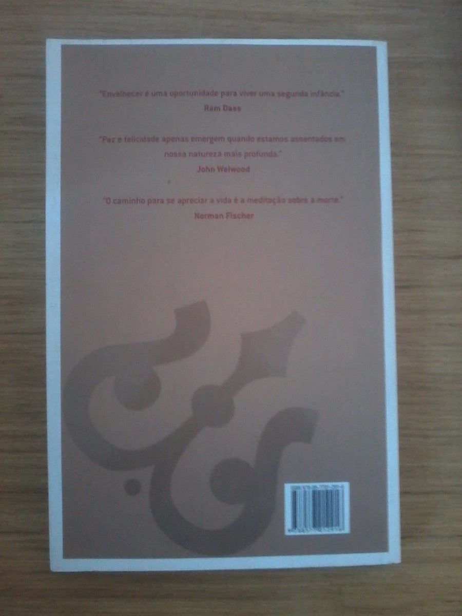 Livro Jornada Rumo Oriente Victoria Jean Dimidjian