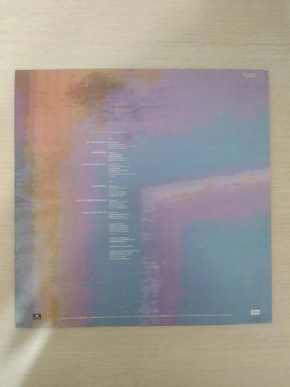 Lp Vinil Pet Shop Boys Disco Com Encarte